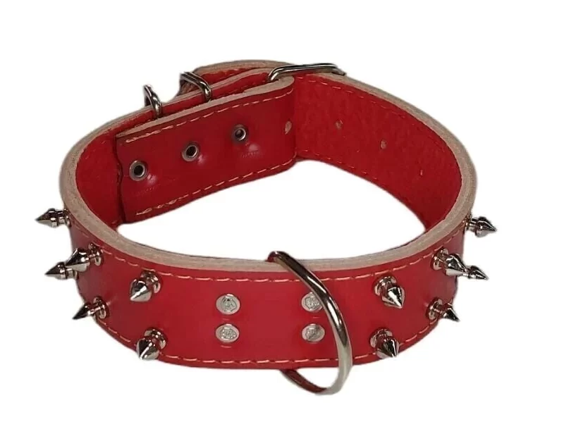 Coleira em Couro Duplo para Pit Bull Cravejada (spike) - Ref. 65